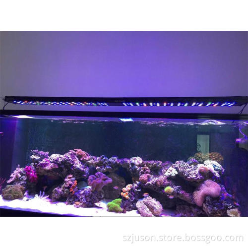 AQL Light 250w 4ft sunrise and sunset wifi wired controller led aquarium light for marine use